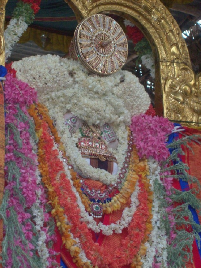 Mylapore SVDD Sri Srinivasa Perumal brahmothsavam 17