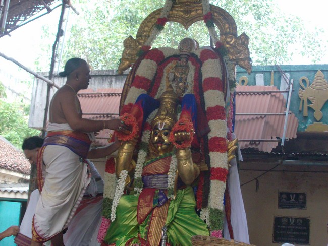 Mylapore SVDD Sri Srinivasa Perumal brahmothsavam 2