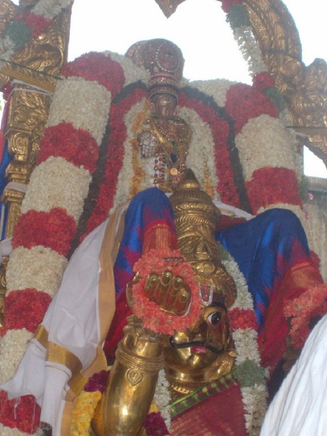 Mylapore SVDD Sri Srinivasa Perumal brahmothsavam 6