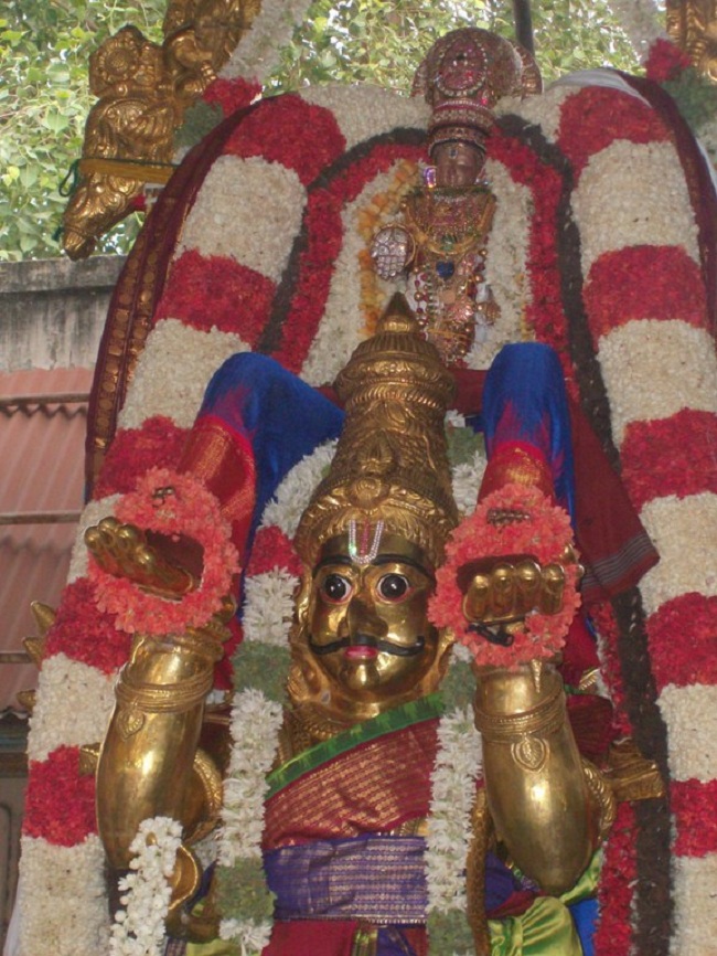 Mylapore SVDD Sri Srinivasa Perumal brahmothsavam 7