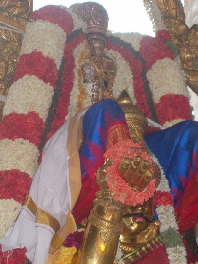 Mylapore SVDD Sri Srinivasa Perumal brahmothsavam 8