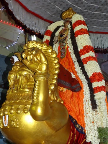Mylapore SVDD Srinivasa Perumal  May 30,2014 Vaigasi Maasam Bhrahmotsavam  pathi ulathal ans Shimah vahanam  17