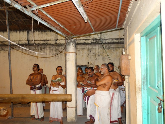 Mylapore SVDD Srinivasa Perumal  May 30,2014 Vaigasi Maasam Bhrahmotsavam  pathi ulathal ans Shimah vahanam  20