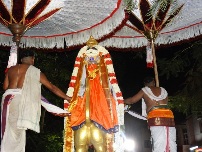Mylapore SVDD Srinivasa Perumal  May 30,2014 Vaigasi Maasam Bhrahmotsavam  pathi ulathal ans Shimah vahanam  25