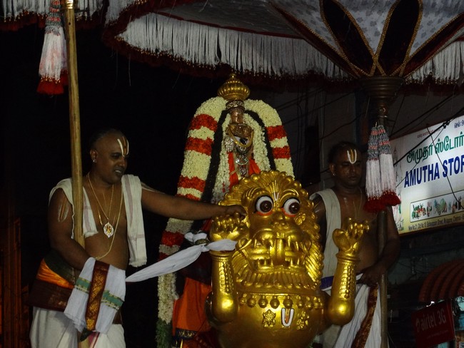 Mylapore SVDD Srinivasa Perumal  May 30,2014 Vaigasi Maasam Bhrahmotsavam  pathi ulathal ans Shimah vahanam  26