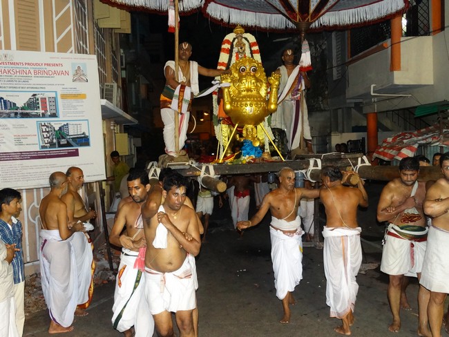 Mylapore SVDD Srinivasa Perumal  May 30,2014 Vaigasi Maasam Bhrahmotsavam  pathi ulathal ans Shimah vahanam  29