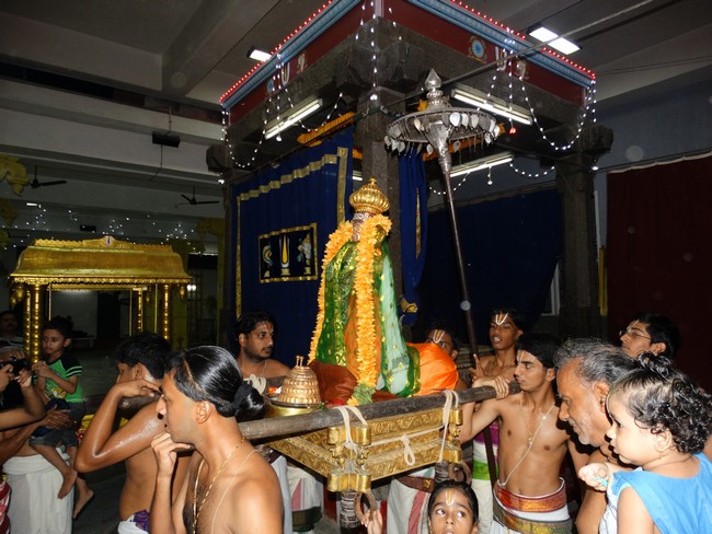 Mylapore SVDD Srinivasa Perumal  May 30,2014 Vaigasi Maasam Bhrahmotsavam  pathi ulathal ans Shimah vahanam  3