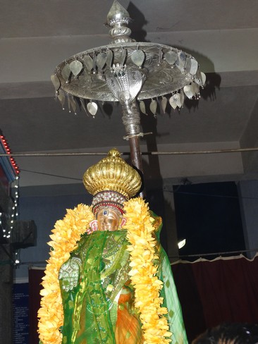 Mylapore SVDD Srinivasa Perumal  May 30,2014 Vaigasi Maasam Bhrahmotsavam  pathi ulathal ans Shimah vahanam  4