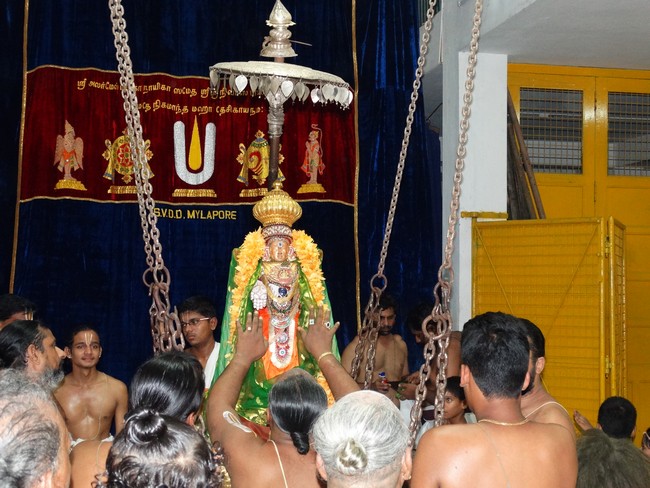 Mylapore SVDD Srinivasa Perumal  May 30,2014 Vaigasi Maasam Bhrahmotsavam  pathi ulathal ans Shimah vahanam  8