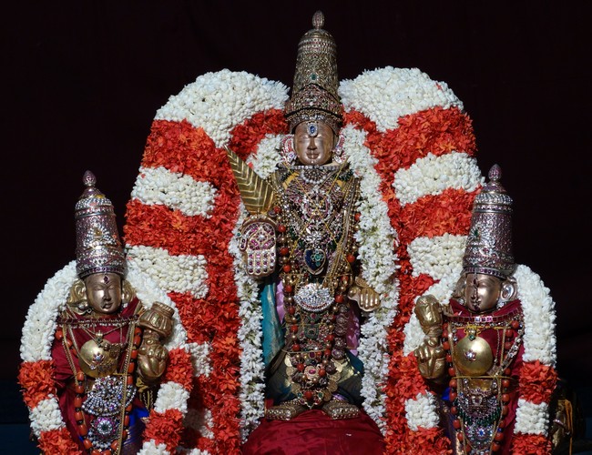 Mylapore SVDD Srinivasa Perumal  anandha nilaya vimahanm 1