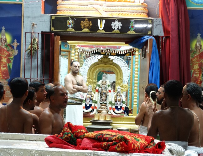 Mylapore SVDD Srinivasa Perumal  anandha nilaya vimahanm 16