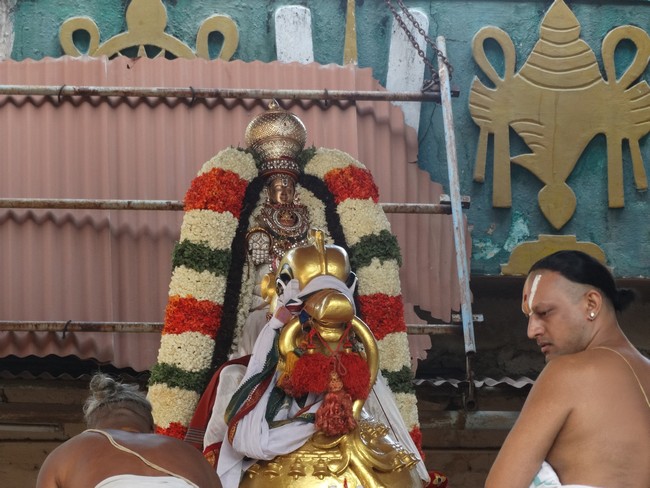Mylapore SVDD Srinivasa Perumal  june 1,2014 Vaigasi Maasam Bhrahmotsavam  Day 2 hamsa vahanam  3