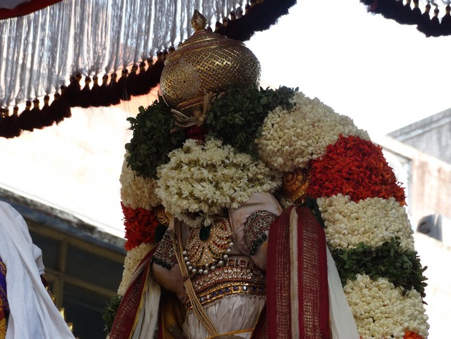 Mylapore SVDD Srinivasa Perumal  june 1,2014 Vaigasi Maasam Bhrahmotsavam  Day 2 hamsa vahanam  7