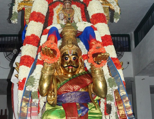 Mylapore SVDD Srinivasa Perumal  june 2,2014 Vaigasi Maasam Bhrahmotsavam  thanga garuda vahanam  1