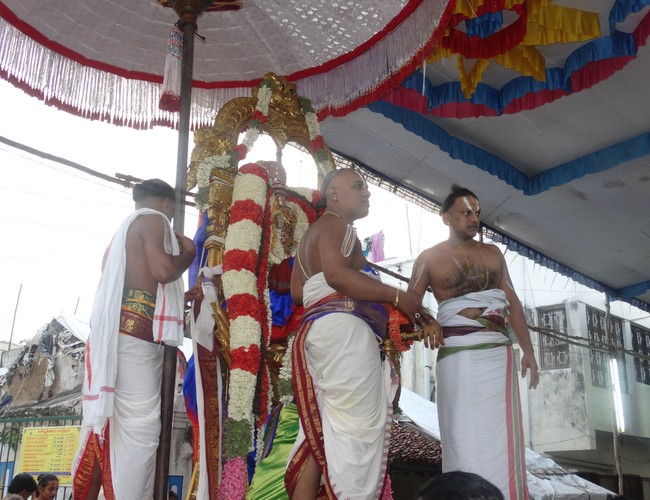 Mylapore SVDD Srinivasa Perumal  june 2,2014 Vaigasi Maasam Bhrahmotsavam  thanga garuda vahanam  18