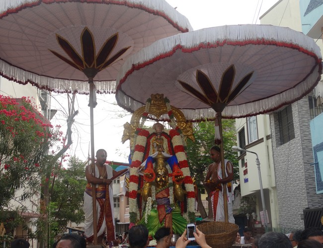 Mylapore SVDD Srinivasa Perumal  june 2,2014 Vaigasi Maasam Bhrahmotsavam  thanga garuda vahanam  29