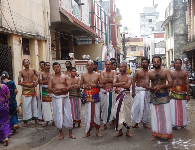 Mylapore SVDD Srinivasa Perumal  june 2,2014 Vaigasi Maasam Bhrahmotsavam  thanga garuda vahanam  31