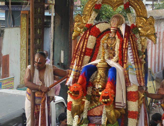 Mylapore SVDD Srinivasa Perumal  june 2,2014 Vaigasi Maasam Bhrahmotsavam  thanga garuda vahanam  34
