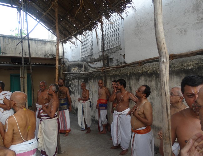 Mylapore SVDD Srinivasa Perumal  june 2,2014 Vaigasi Maasam Bhrahmotsavam  thanga garuda vahanam  37