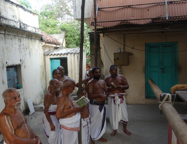 Mylapore SVDD Srinivasa Perumal  june 2,2014 Vaigasi Maasam Bhrahmotsavam  thanga garuda vahanam  38