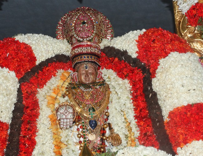 Mylapore SVDD Srinivasa Perumal  june 2,2014 Vaigasi Maasam Bhrahmotsavam  thanga garuda vahanam  4