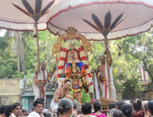 Mylapore SVDD Srinivasa Perumal  june 2,2014 Vaigasi Maasam Bhrahmotsavam  thanga garuda vahanam  41