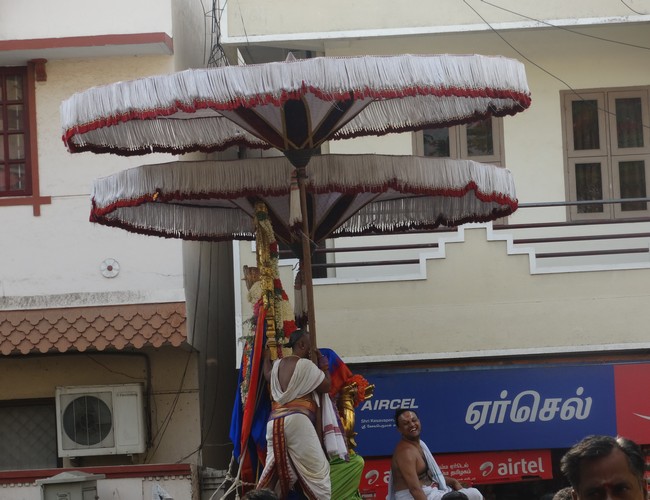 Mylapore SVDD Srinivasa Perumal  june 2,2014 Vaigasi Maasam Bhrahmotsavam  thanga garuda vahanam  43