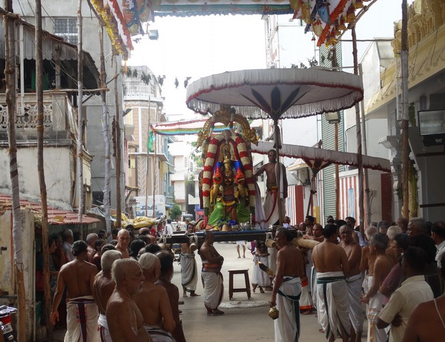 Mylapore SVDD Srinivasa Perumal  june 2,2014 Vaigasi Maasam Bhrahmotsavam  thanga garuda vahanam  49