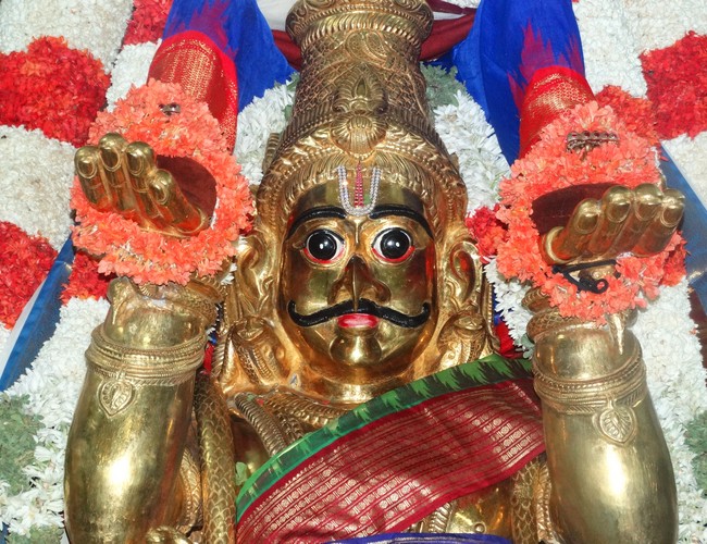 Mylapore SVDD Srinivasa Perumal  june 2,2014 Vaigasi Maasam Bhrahmotsavam  thanga garuda vahanam  5