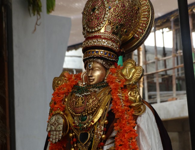Mylapore SVDD Srinivasa Perumal  june 2,2014 Vaigasi Maasam Bhrahmotsavam  thanga garuda vahanam  54