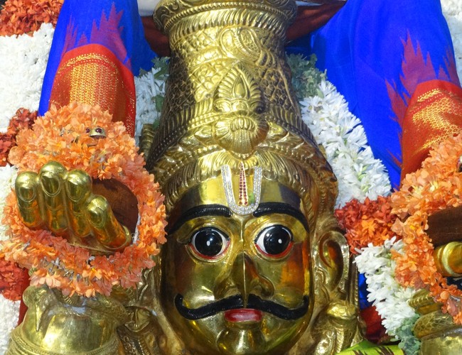 Mylapore SVDD Srinivasa Perumal  june 2,2014 Vaigasi Maasam Bhrahmotsavam  thanga garuda vahanam  9