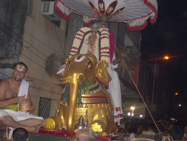 Mylapore Sri Srinivasa Perumal Brahmothsavam 12