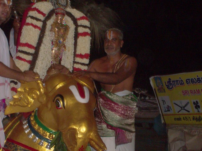 Mylapore Sri Srinivasa Perumal Brahmothsavam 13