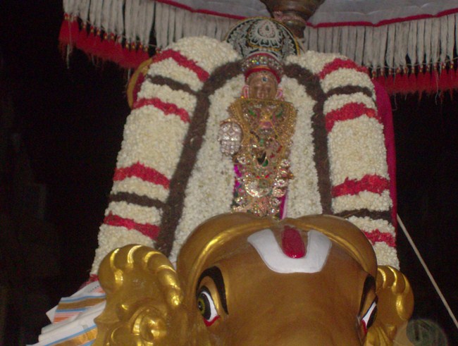 Mylapore Sri Srinivasa Perumal Brahmothsavam 2