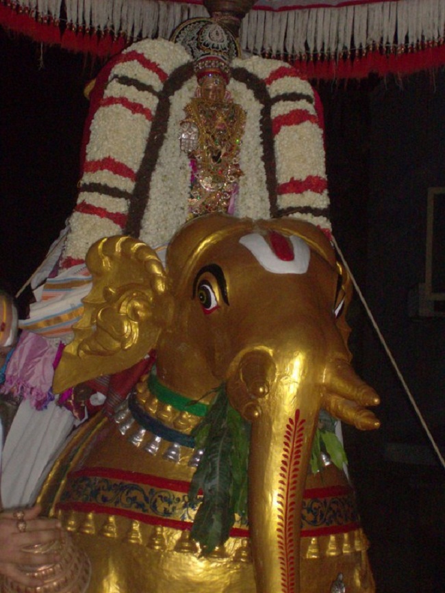 Mylapore Sri Srinivasa Perumal Brahmothsavam 3