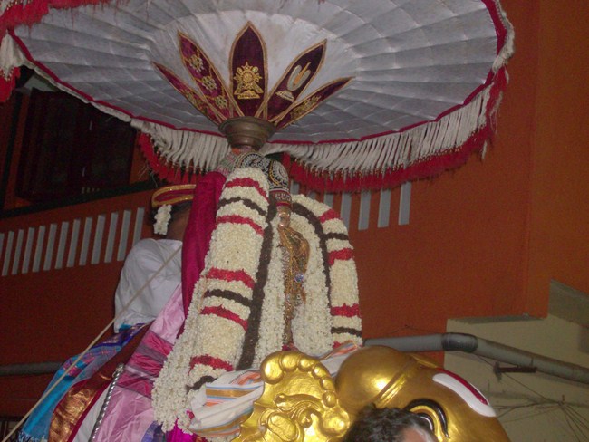 Mylapore Sri Srinivasa Perumal Brahmothsavam 6