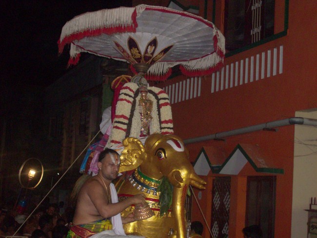 Mylapore Sri Srinivasa Perumal Brahmothsavam 8