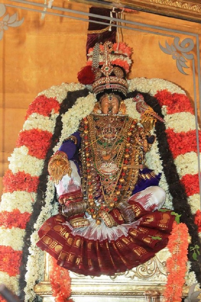 Mylapore Sri Srinivasa Perumal brahmothsavam -Nachiyar Thirukolam14