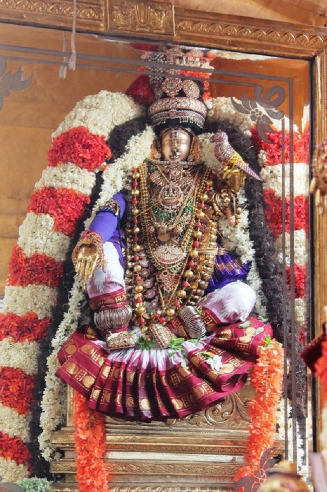 Mylapore Sri Srinivasa Perumal brahmothsavam -Nachiyar Thirukolam19