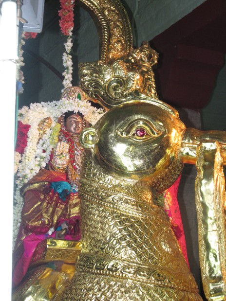 Nagai Soundaravalli Thayar8