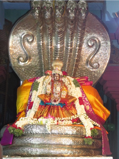 Nagai Sri Soundaryavalli Thayar Sesha4