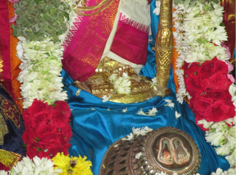 Nagai Vasanthotsavam14