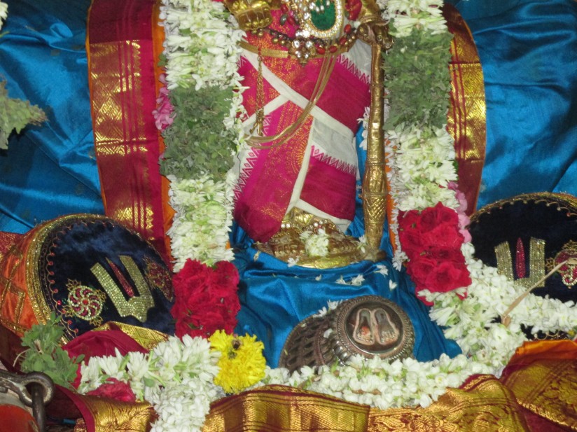 Nagai Vasanthotsavam15