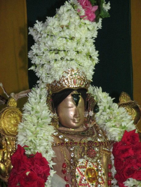 Nagai Vasanthotsavam16