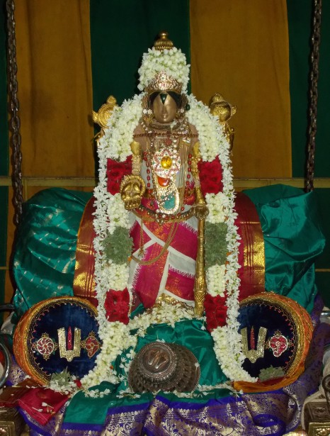 Nagai Vasanthotsavam6