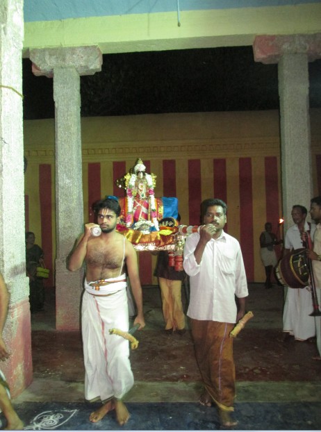 Nagai Vasanthotsavam9