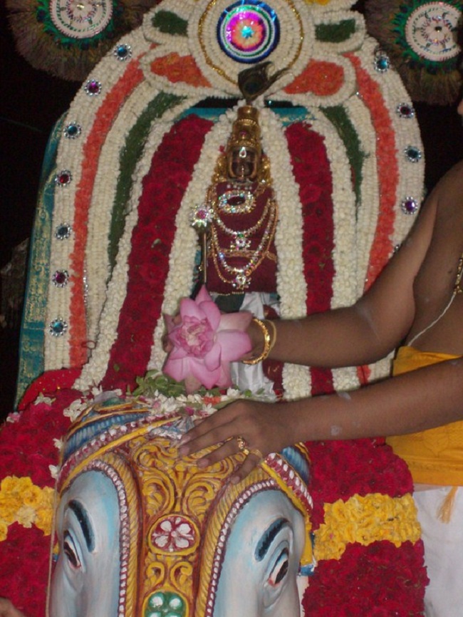 Nanganallur Sri Uttara Guruvayurappan Temple Varshika Brahmotsavam8
