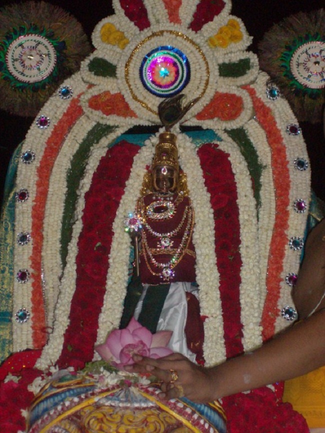 Nanganallur Sri Uttara Guruvayurappan Temple Varshika Brahmotsavam9