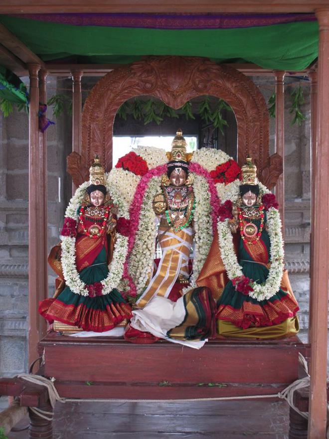 Narasingapuram Brahmotsavam Chapparam