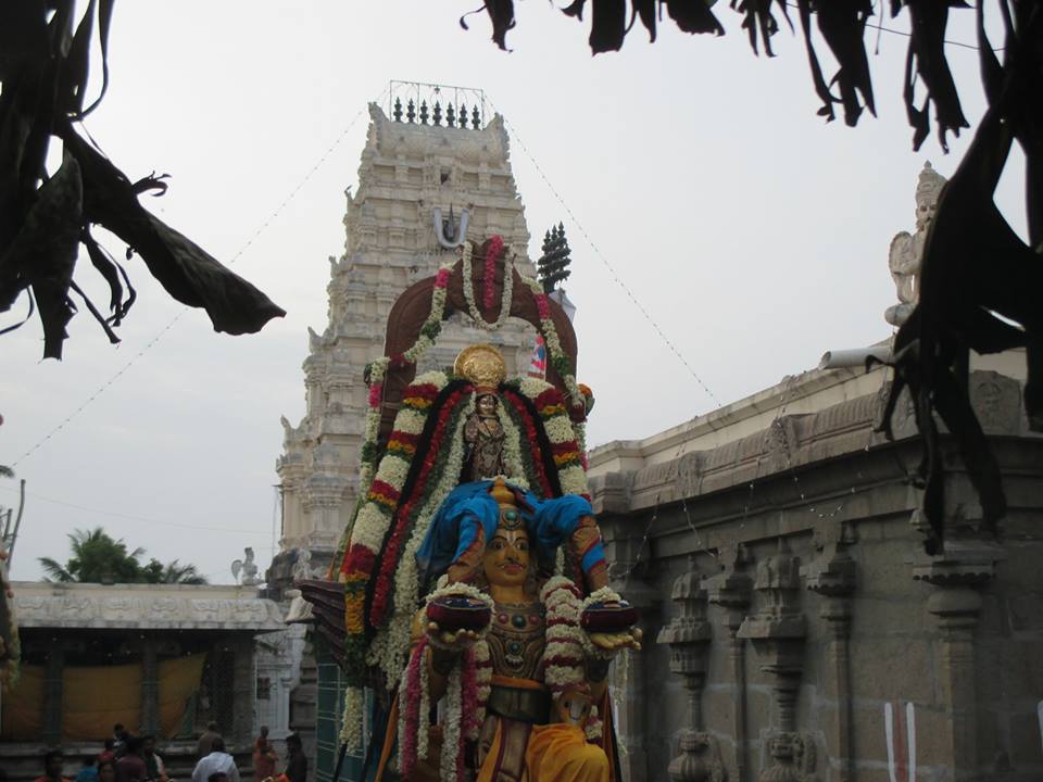 Narasingapuram Brahmotsavam Garuda Vahanam2